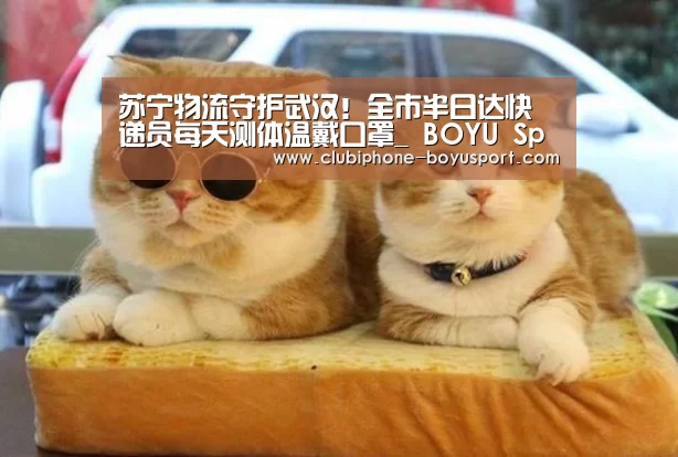  博鱼官方网站入口