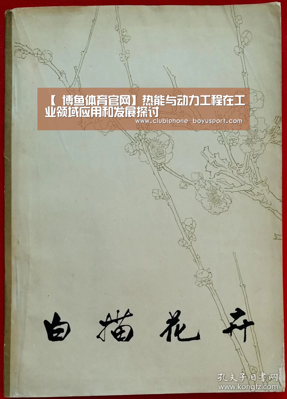 博鱼体育
