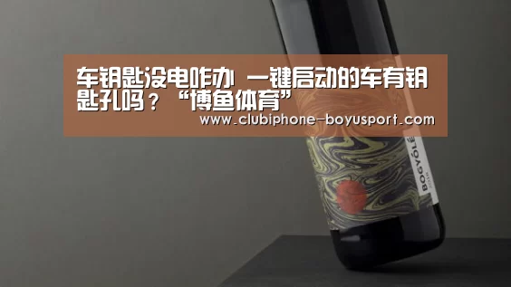  博鱼体育官网